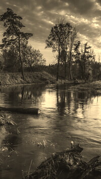 Szary + Sepia