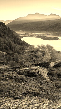 Sepia