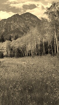 Sepia