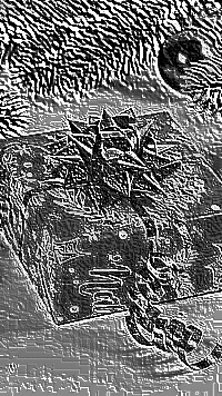 Skamielina