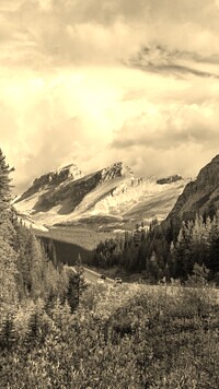 Szary + Sepia