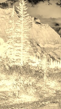 Sepia + Negatyw