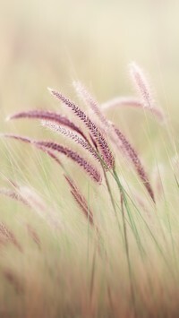 Oryginalny obrazek