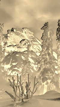 Sepia + Negatyw