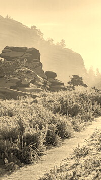 Szary + Sepia