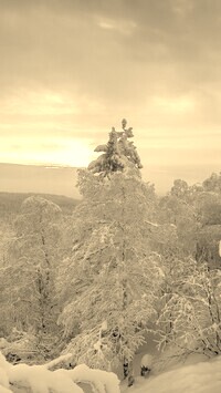Szary + Sepia