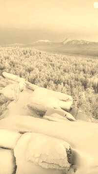 Szary + Sepia