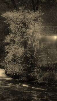Szary + Sepia