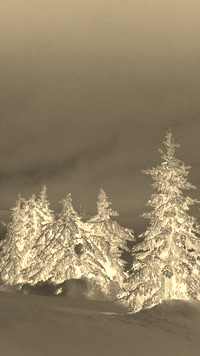 Sepia + Negatyw