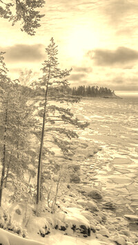 Sepia