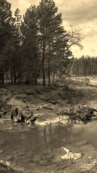 Szary + Sepia
