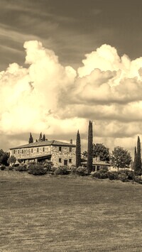 Szary + Sepia