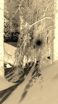Sepia + Negatyw