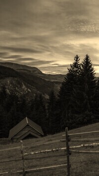 Szary + Sepia