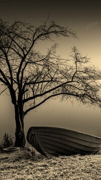 Szary + Sepia