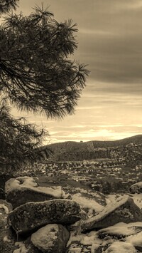 Sepia