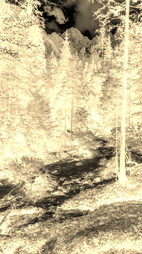 Sepia + Negatyw