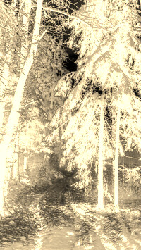 Sepia + Negatyw