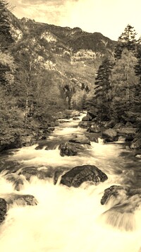 Sepia