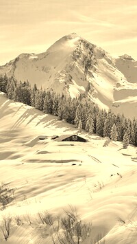 Szary + Sepia