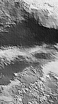 Skamielina