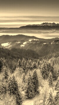 Sepia