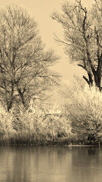 Szary + Sepia