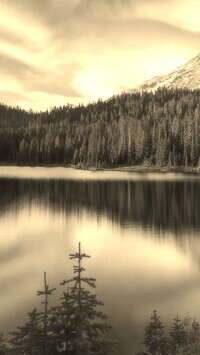 Szary + Sepia