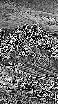 Skamielina