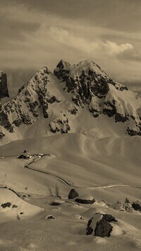 Szary + Sepia