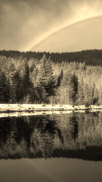 Szary + Sepia