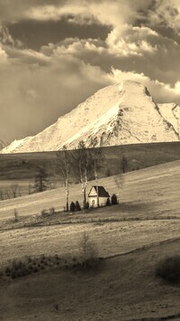 Sepia
