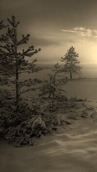 Sepia