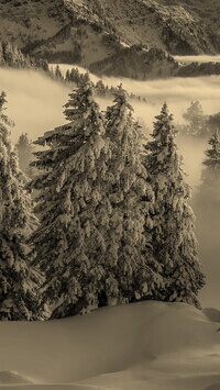 Szary + Sepia