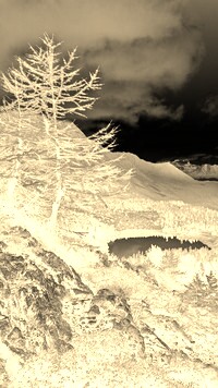 Sepia + Negatyw