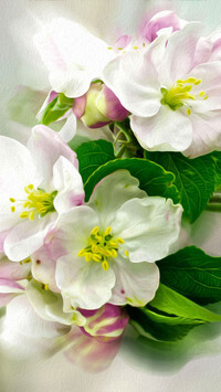 Oryginalny obrazek