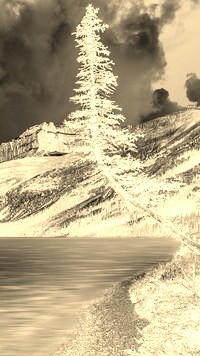 Sepia + Negatyw