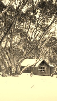Szary + Sepia