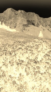 Sepia + Negatyw