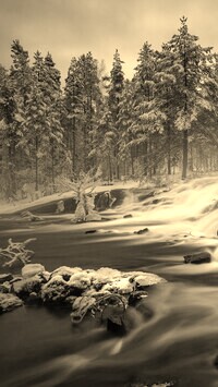 Sepia