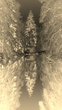 Sepia + Negatyw