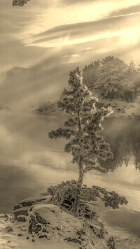 Sepia