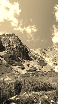 Sepia