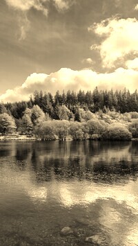 Sepia