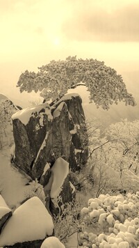Sepia