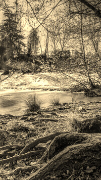 Szary + Sepia
