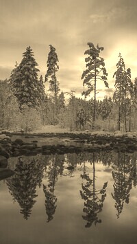 Szary + Sepia