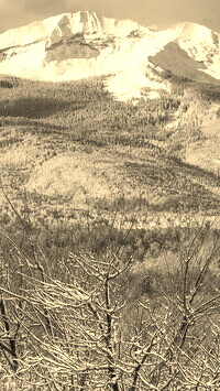 Sepia