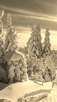 Sepia
