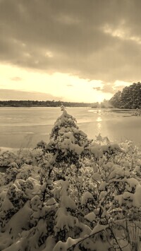 Szary + Sepia